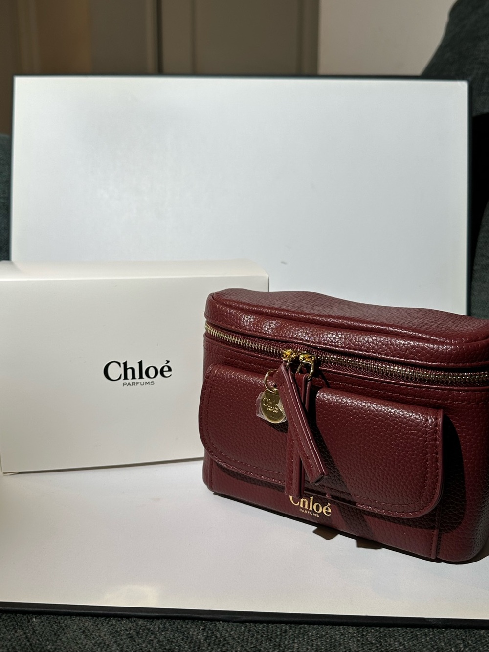 Chloe Burgundy Cosmetic Makeup Bag Leather Zip Pouch Gold Logo NWT Authentic